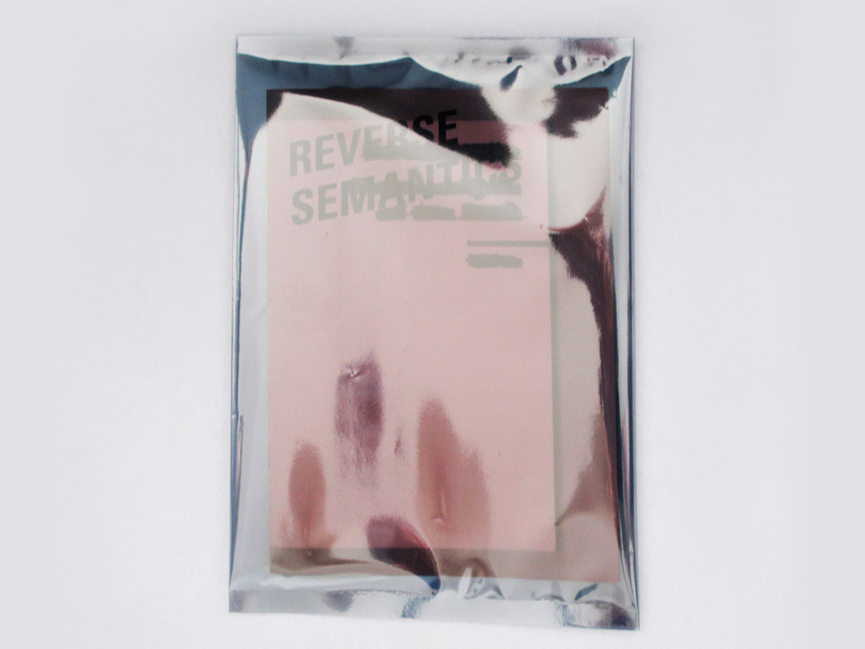 ReverseSemantics AE