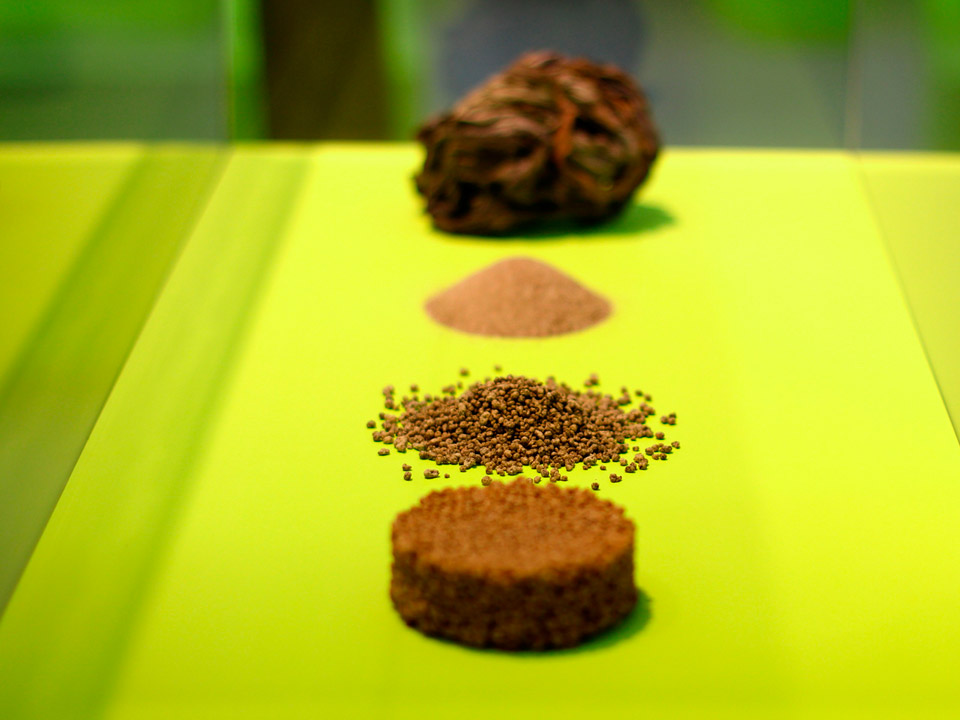 SKINAusstellung AE