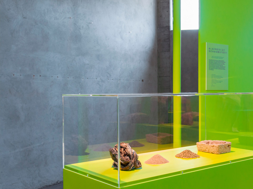 SKINAusstellung AE
